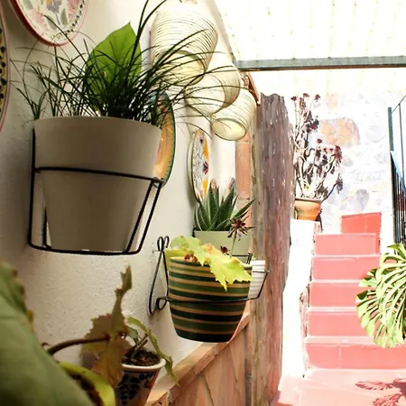 Typical Andalusian House In The Center Of / Casa Tipica Andaluza En El Centro De Ronda. 론다